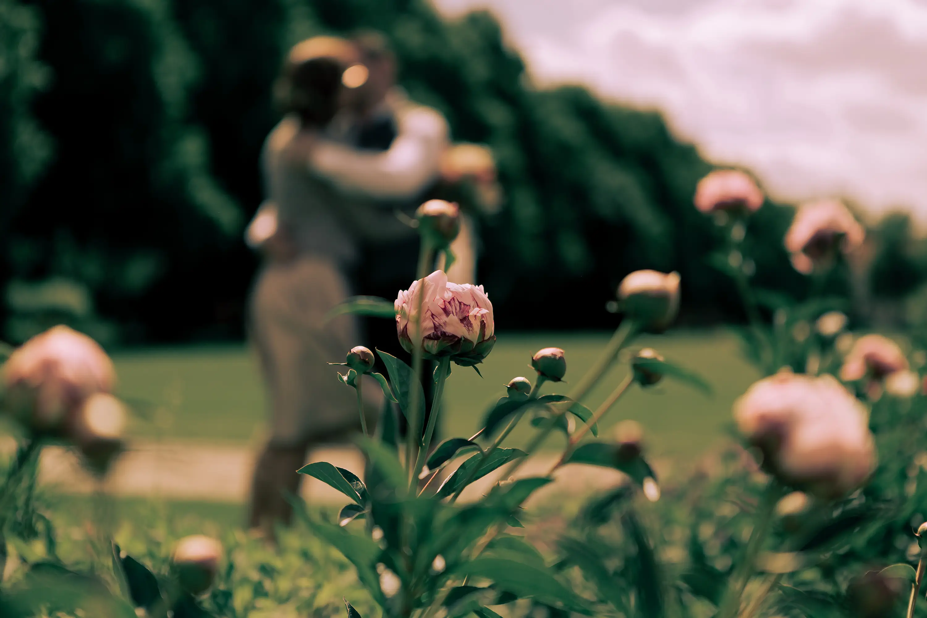 Im Vordergrund scharf eine Blume, im Hintergrund sieht man unscharf wie sich das Brautpaar küsst.