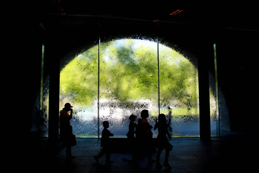Mehrere Menschen laufen vor einem Fenster in einem Museum. Durch das Gegenlicht ist nur der grüne Hintergrund vor dem Fenster zu erkennen, die Menschen sind zu dunkel, um sie zu erkennen.